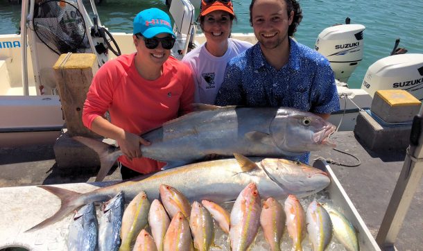 A nice reef catch of Yellowtail Snapper and large Amberjacks