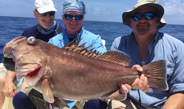 Snowy Grouper caught in 800'
