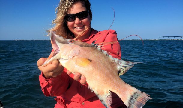 This 16" Hogfish will be the new minimum, 1 allowed per person