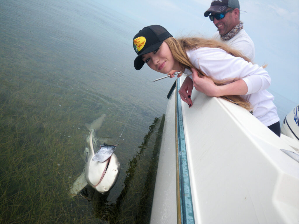 1 of many sharks caught and released