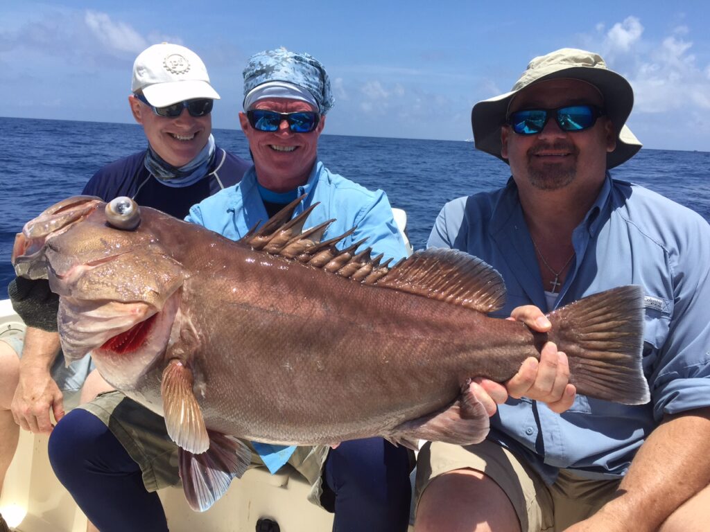 Snowy Grouper caught in 800'