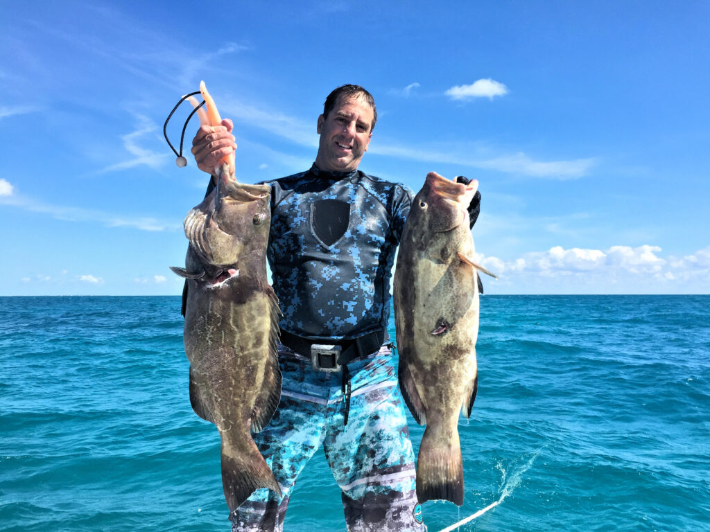 A large pair of Black Grouper speared with a friend 