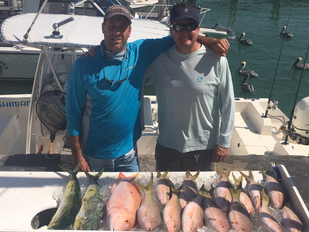 great diversity with big snapper and a few bonus dolphin