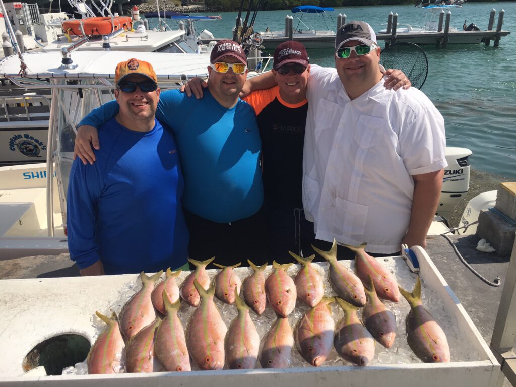 Jumbo Yellowtail Snapper from the deep reef